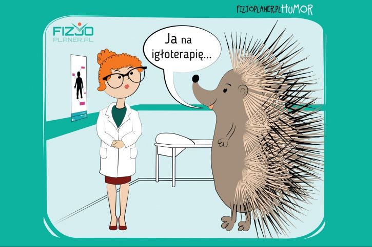 Fizjoterapia humor